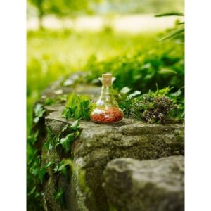 Karaffel miniverse - NatureÂ´s Design - GodKarmaShop